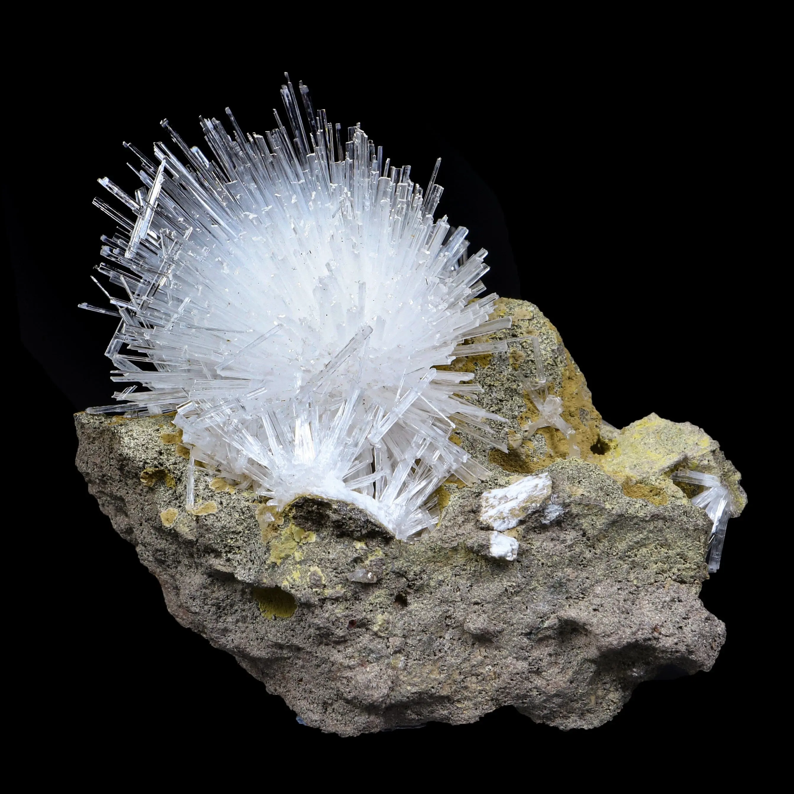 Fine Scolecite Spray Flower on Basalt Matrix - Collector’s Zeolite Specimen from Nashik, India # B 7193