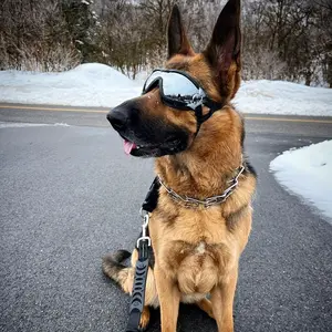 Stylish Dog Sunglasses - UV Resistant, Windproof, Dustproof, Fogproof Goggles with Adjustable Straps for Medium to Large Dogs - Eye Protection, Fashionable Pet Accessories for Outdoor Activities
