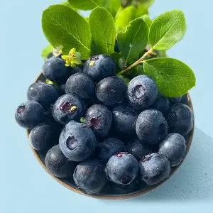 Grow Your Own Berry Patch 4-in-1 Seed Mix Strawberry Blueberry Raspberry & More Easy Fun Backyard Fruit Garden Starter Kit All Seasons