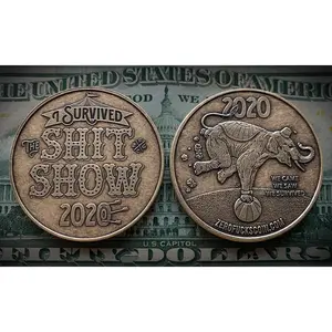 I Survived "The Shit Show" 2020 Coin (Bronze)