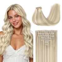 Ash Blonde Highlights (17A/60)