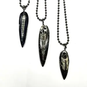 Orthoceras Fossil Necklace - 26” Gunmetal Ball Chain, Approximately 2.5”-3” Pendant, Unique Color and Pattern Variations
