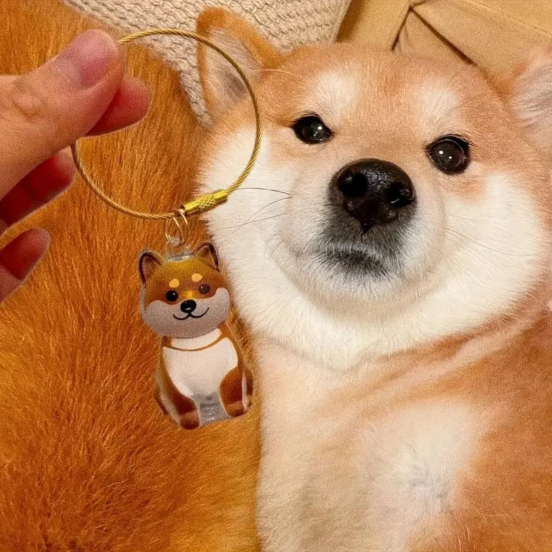 PetLuvz Style High-Value Cute Hair Storage Creative Keychain Dog Transparent Hair Ball Pendant Perfect Gift for Cat Lovers Stylish Hair Storage Capsule