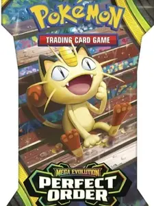 Perfect Order Hanger Pack