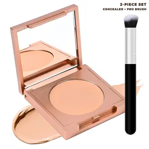 Color Corrector, Full Coverage Concealer, Dark Circles, Under Eye Brightening, Waterproof Concealer, Mature Skin Makeup, Concealer with Brush