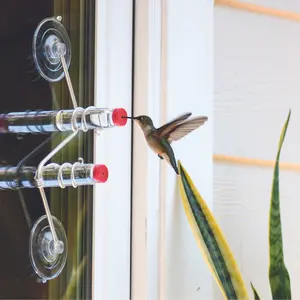 The Geo Feeder | Geometric Window Hummingbird Feeder | Aluminum | Sweet Feeders | Modern | Home Decor | Glass Bottles | Suction Cups