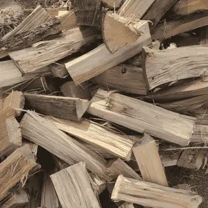 Bagged Wood - Sticks - Firewood