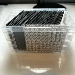 100 Envelope Savings Challenge Box