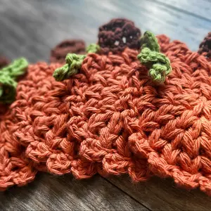 Pumpkin Coasters