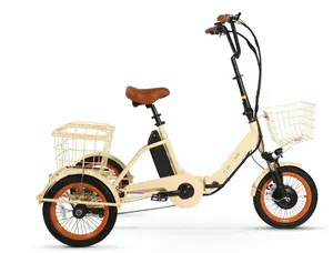 Easy Transit 750W Folding Electric Trike