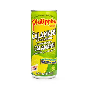 Philippine Brand Calamansi Juice 250 ml