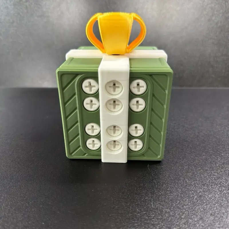 Annoying Christmas Cash Box with 46 Screws – Funny Money Gift Challenge