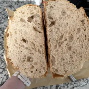 BUCKY - LIVE Active Sourdough Starter 35 Grams for Baking Authentic Healthy Bread - Made in USA - Easy to Use for Beginners & Experienced Bakers Flour