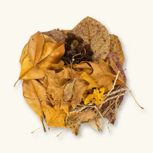 Natural #TanninBae Beginner Aquarium Botanical Variety Pack by Betta Botanicals for Betta Tanks & Blackwater Aquariums