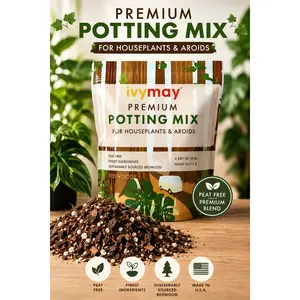Houseplant Mix TT