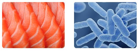 FINN Allergy & Itch for Dogs - Natural Allergy Relief, Itchy Skin, Immune Support, Bee Propolis, Probiotics - 90 Soft Chews FINN Allergy & Itch for Dogs - Natural Allergy Relief, Itchy Skin, Immune Support, Bee Propolis, Probiotics - 90 Soft Chews