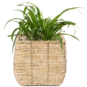 Vintiquewise QI003833.M Weave Garden Pot - Sea Grass Woven Square Flower Planter, Medium Size, Leak-Proof Plastic Insert, Indoor/Outdoor Use