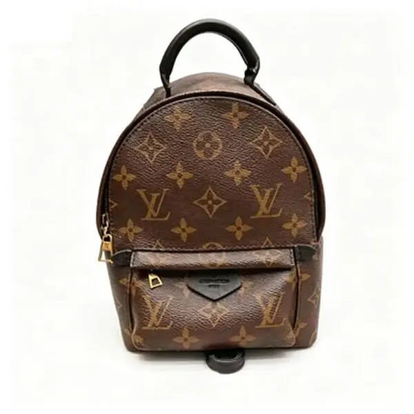 Pre-owned Louis Vuitton Palm Springs Mini Monogram Backpack Pre-owned Louis Vuitton Palm Springs Mini Monogram Backpack