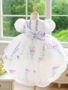Elegant Toddler Floral Tulle Dress for Parties Perfect for School Performances Weddings Ideal for Birthday Celebrations Butterfly Dress