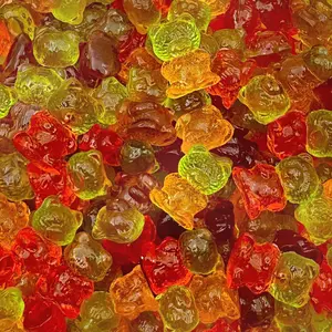 Sugar-Free Gummy Bears | 1-Pound Pack | 3D Candy, Assorted Fruit Flavors