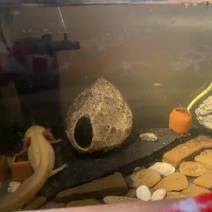 AquaMiracle U-V Aquarium Filter Fish Tank Filters Green Water Cleaning Filter Pump with Timer, Dual Mode (Aeration/Rainfall) for 10-120 Gallon Aquariums, Flow Rate and Direction Adjustable