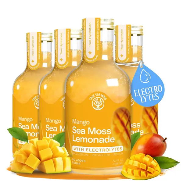 Mango Sea Moss Electrolyte Lemonade – Naturally Sweet Fruit Drink with Sea Moss & Electrolytes – No Added Sugar Hydration & Energy Support – 4 x 12 fl oz Bottles