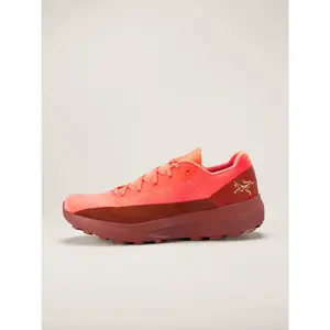 Arc'teryx Men's Norvan LD 4