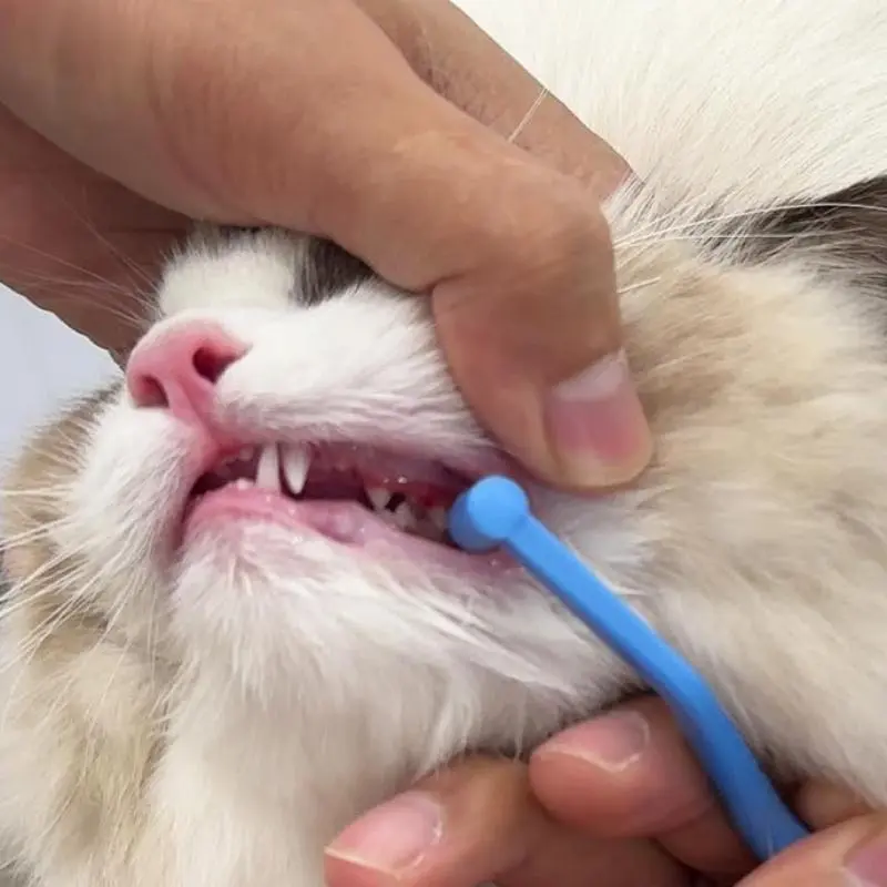 Cat double-sided toothbrush with miniature brush head, non-slip curved handle, suitable for all breeds of pet cats, small pointed flat head interdental brush, soft-bristled braces, wisdom teeth cleaning cat toothbrush