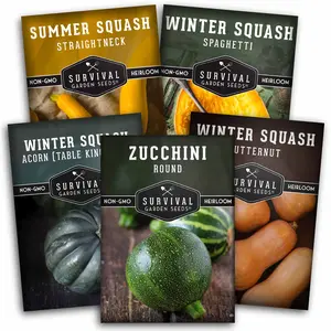 Survival Garden Seeds Squash Seed Collection - Winter & Summer Squash - 5 Non-GMO Heirloom Varieties for Planting - Round Zucchini, Straightneck Yellow, Spaghetti, Butternut, Acorn Squash - Easy to Grow - Compact & High Yields