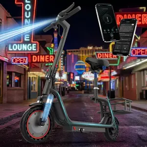 350W Folding Electric Bike for Adults, Maximum Speed 19MPH,Range 16/28 Miles, LED Lights,UL 2272 Certified