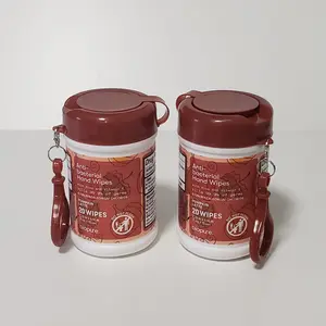 Hand Wipes with Aloe and Vitamin E, 20 Wipes each Pumpkin Late Keychain Travel Size, Pack of 2