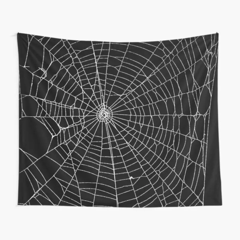 Spider Spider Web Tapestry for myself Tapestry for Bedroom, College Dorm and Home Decor 60"x40", Funny Meme Wall Tapestries for Boy Girl Birthday Gifts
