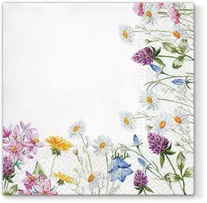 Spring Frame Luncheon Napkins