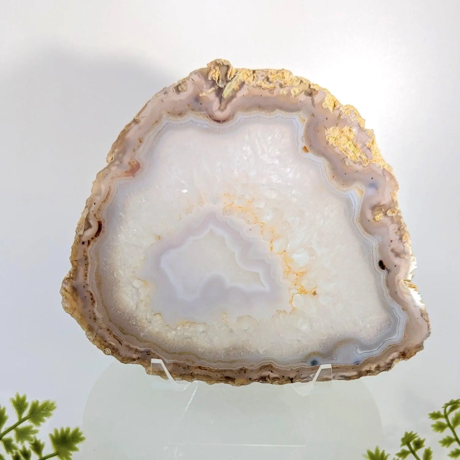 Natural Agate 5.8" Polished Slice