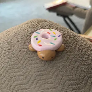 Donut Sprinkle Turtle