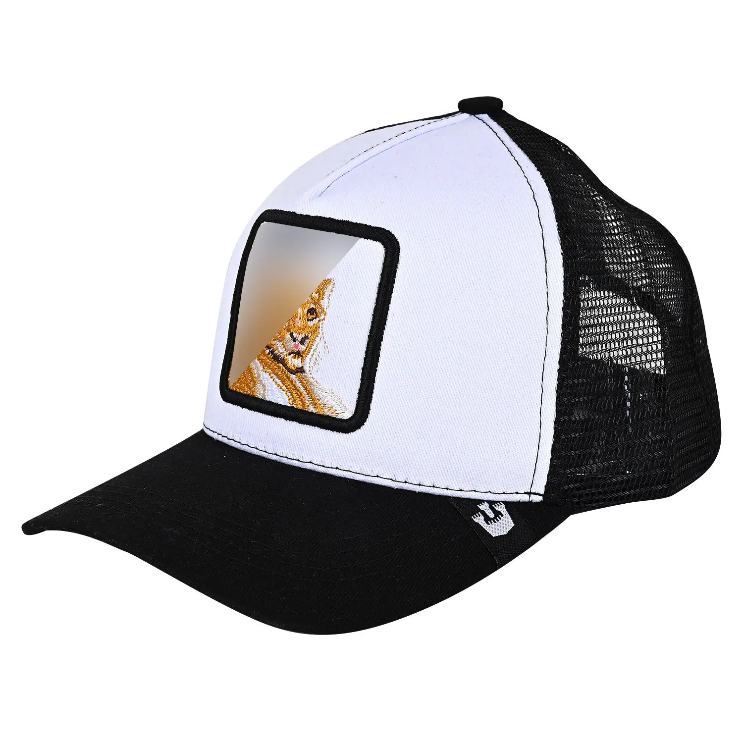 Cougar black and white