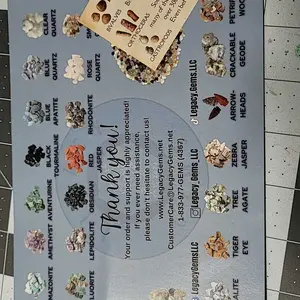 Small Fossil Mining Bucket - Quart Bucket - 4-5 lbs Total - Over 12 Different Types of Fossils and Natural Crystals