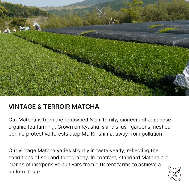 FKRO Okumidori Organic Ceremonial Matcha Powder - Single Cultivar, Air Flown Monthly from Japan, Creamy & Umami Traditional Green Tea, 30g Pouch