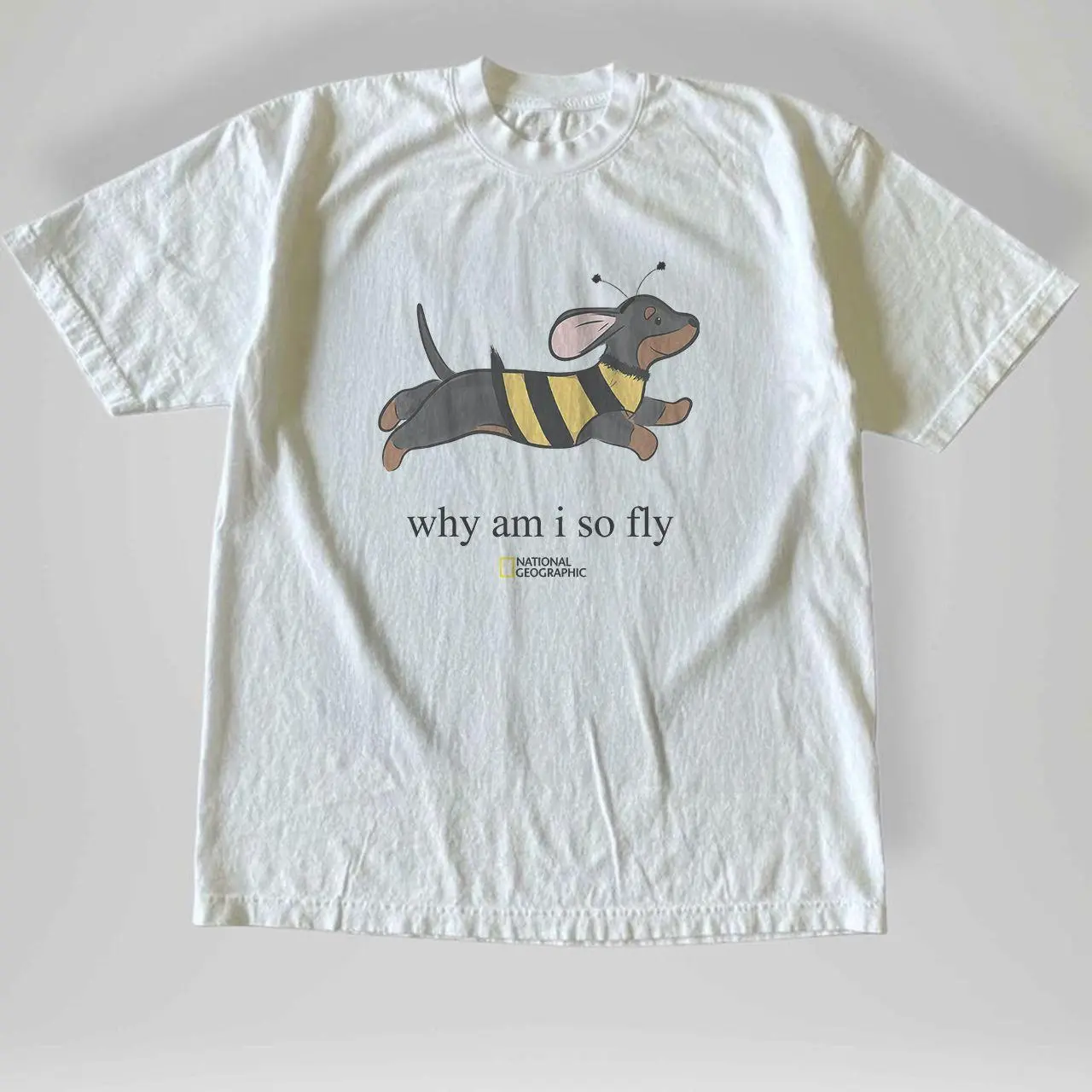 [Sale off up to 50%] Vintage Style Why Am I So Fly Dachshund T-Shirt, Funny Dog Shirt loose fit women st