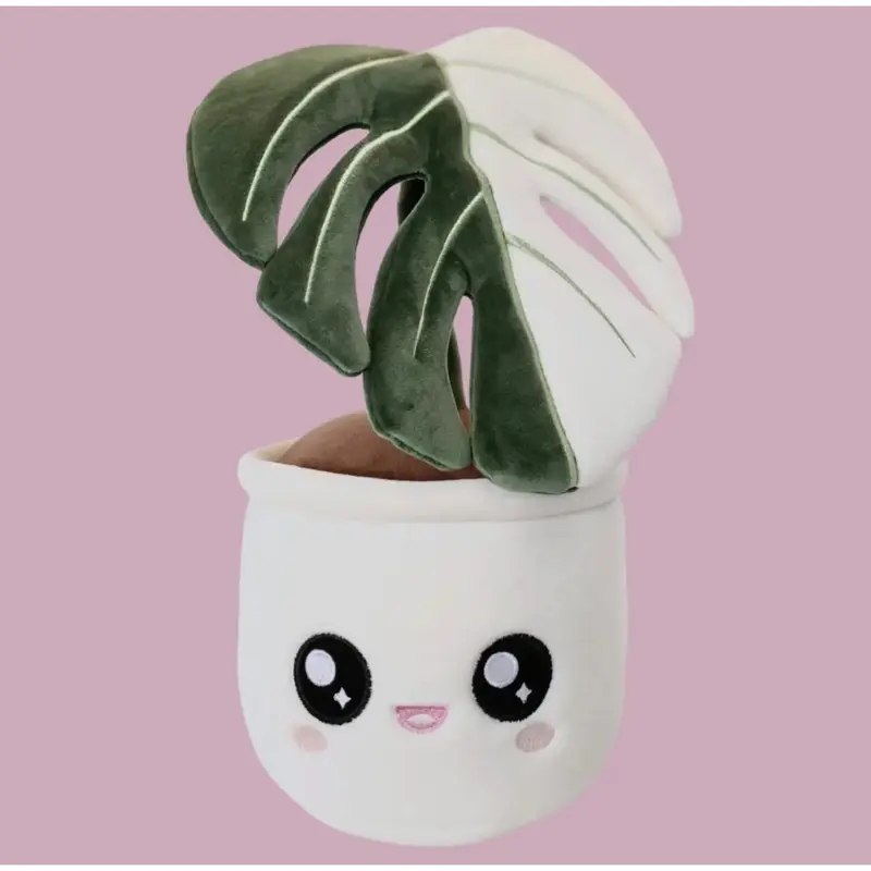 monstera blume - TikTok Shop