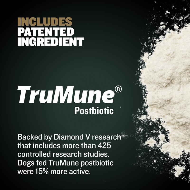 Bully Max Pro 2X High Calorie & High Protein Dry Dog Food for Puppy & Adult Dogs - Weight Gain & Muscle Building - 600 Calories/Cup Kibble Chicken Bully Max Pro 2X High Calorie & High Protein Dry Dog Food for Puppy & Adult Dogs - Weight Gain & Muscle Building - 600 Calories/Cup Kibble Chicken