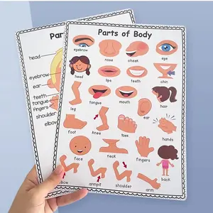 Body Parts Vocabulary Learning Poster, English Word Education Materials, Visual Learning Tools, Prechool Classroom Decor, Home School Supplies, Early Childhood Education, Classroom Supplies Charts