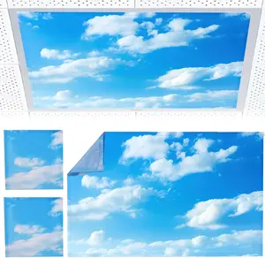 2 count Fluorescent Light Covers - Light Covers for Ceiling Lights Classroom,  Light Filters for Office, Hospitals,  4 x 2  ( and white clouds)