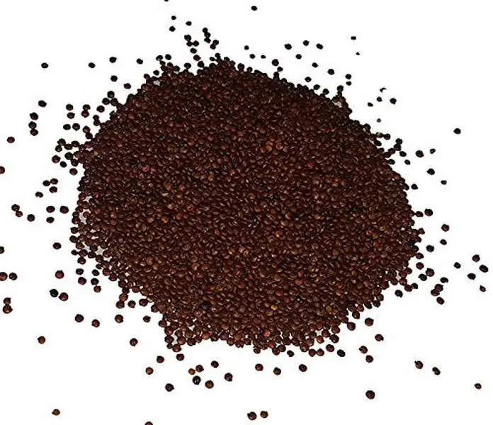Certified Organic Red Quinoa Whole Grain Seeds - High-Fiber, Heirloom, Rich Iron, Vegan, Raw, Grown in Andes, Inca’s Used Bulk Staples & Cooking Essential Grain