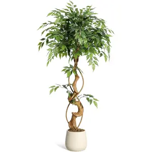 6-Ft (72 in) Minimalist Artificial Ficus Tree with Curved Trunk, Lifelike & Natural Variation Look, Silk Leaves, Moss Accent, White Pot, Indoor Home Decor for Office & Living Room with Decorative Fruit