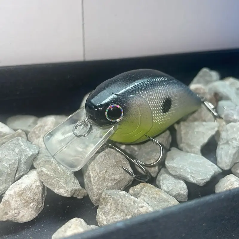 Swamp Shed Custom Painted Crank Bait Handcrafted One-of-a-Kind Tackle Box Addition for Enhanced Fishing Strikes