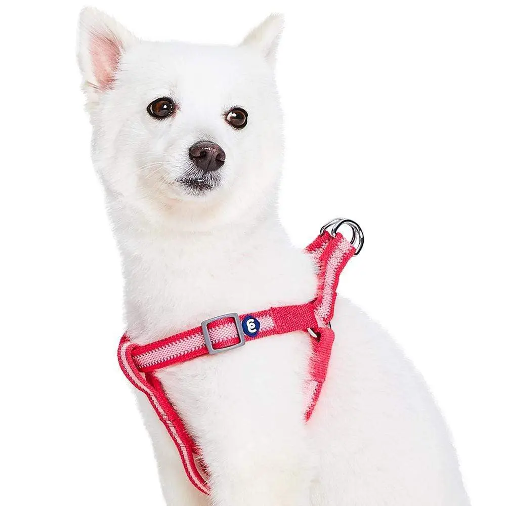 Back To Basics Reflective Step In Dog Harness For Walks