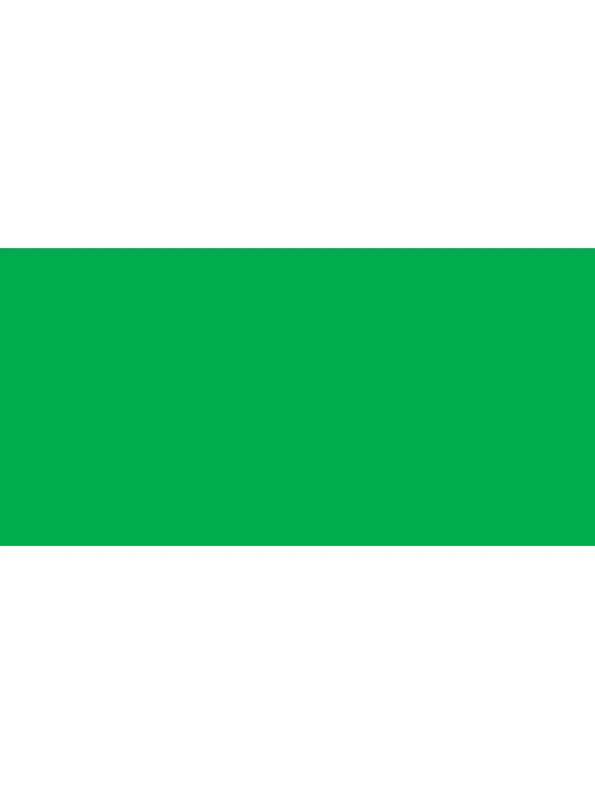 Pacon Corporation Pac57135 Fadeless Printing Roll Paper, 48 in x 50 ft Vibrant Green Office Stationery Roll