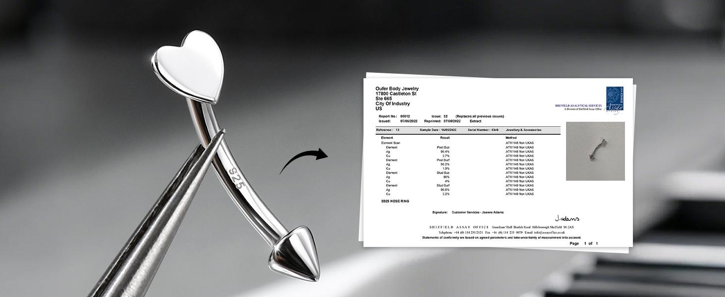 Oufer 16G S925 Flat Heart & Spike Eyebrow Rook Ring Vertical Labret Snake Bite Piercing Ring Bar Length 8mm Trendy Fine Jewelry Trendy Fine Jewelry Trendy Fine Jewelry