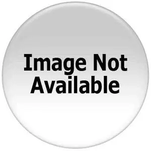 Kaz Inc HRF-F1 True HEPA Replacement Filter